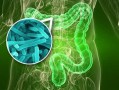 热心肠日报：纳米塑料通过肠菌代谢物促乳腺癌
