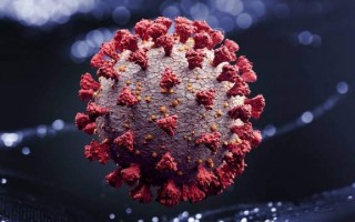 NEJM：警惕！免疫抑制人群可能成为SARS-CoV-2的“健身房”