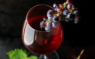 适度喝红酒，对心血管疾病有益？