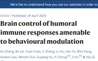 《自然》：中枢神经能直接调控适应性免疫的通路，躯体行为可以增强免疫应答