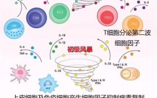 抵抗力强病情也会加重？可能因为细胞因子风暴