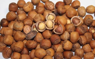 “榛子”的营养价值