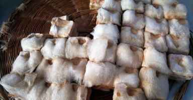 为何长毛的豆腐却可以食用? 为何长毛的豆腐却可以食用?
