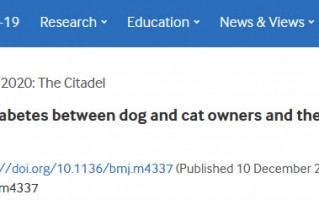 BMJ：如果你的狗子患上了糖尿病，那么你也危险了